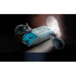 Osram HTM 70/230-240 Halotronic Mouse 70va Transformer -Philips Shop 0 0 6 06 osram trafo mouse htm 70 230 240 3