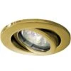 DAR Lighting Polished Brass Tilt Downlighter 12v MR16 Lampholder Included 1 DAR Lighting Polished Brass Tilt Downlighter 12v MR16 Lampholder Included -Philips Shop 1 1 2 1293 sidee 2000