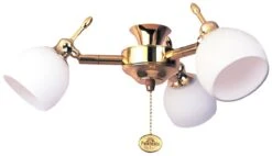 Fantasia 220282 Ceiling Fan Light - Florence 3 Light Cluster Polished Brass
