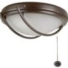Fantasia 221265 Ceiling Fan Outdoor Light - Patio Chocolate Brown -Philips Shop 2 2 2 221265