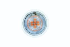 Integral LED 5W 220-240V GU10 40° 50mm Red Coloured Spot Lamp (Non-Dim) -Philips Shop 3 3 6 3689