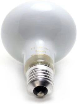 Sylvania R80 60W Reflector Bulb Spot LightEdison Screw ES/E27 Cap Diffused 220-240 Volt -Philips Shop 6 6 1 611tfmeokvl. ac sl1500