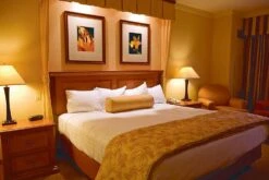 BELL 00061 40W 240/250V SES/E14 35mm Clear Candle Bulb 3,000 Hour -Philips Shop 8 8 1 81cd0hf9ysl. ac sl1500