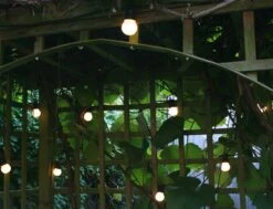 Noma 12m 20 Static Festoon LED White Party Lights -Philips Shop 8 8 2 82134w 2