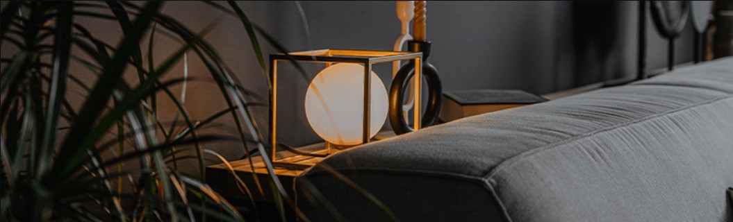 Front Page -Philips Shop banner308