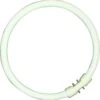 BELL 05463 40W T5 Circular Tube - 2GX13, 4000K - Cool White