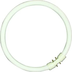 BELL 05463 40W T5 Circular Tube - 2GX13, 4000K - Cool White