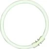 BELL 05471 60W T5 Circular Tube - 2GX13, 6500K - Daylight -Philips Shop c c 2 c26.05471