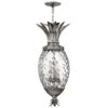 Hinkley HK/PLANT4/P PL Plantation 4lt Pentant Polished Antique Nickel