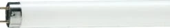 Philips Master Tl-D 90 De Luxe 18w/950 Daylight Triphosphor
