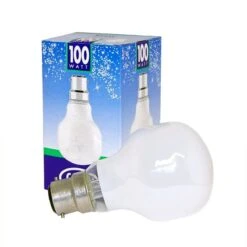 Leuci 100W 230V Bayonet B22 T60 Softone Snow White Light Bulb