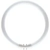Philips 22W/840 TL5 Circular Tube - 2GX13, 4000K - Cool White -Philips Shop l l i line 15 2gx13 22w cw
