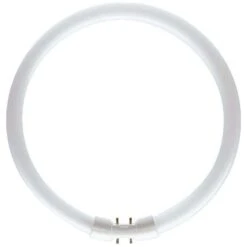 Philips 22W/840 TL5 Circular Tube - 2GX13, 4000K - Cool White